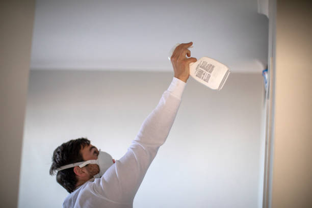 Best Certified Mold Removal  in El Reno, OK