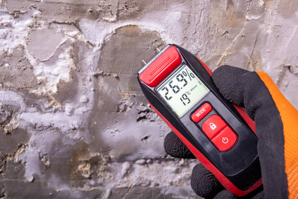 Best Home Mold Removal  in El Reno, OK
