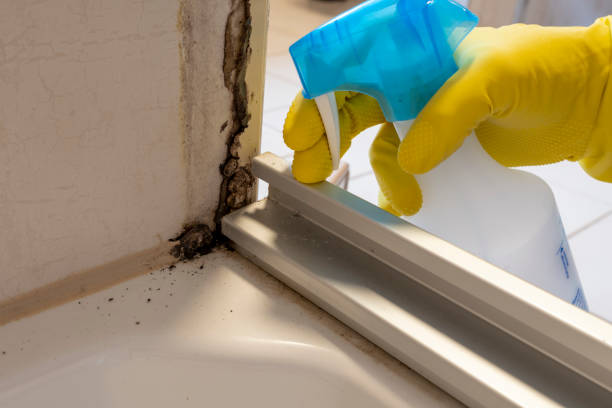 Best Crawl Space Mold Removal  in El Reno, OK