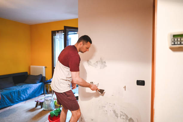 Mold Removal Process in El Reno, OK