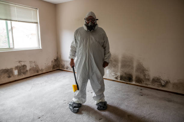 Best Emergency Mold Removal  in El Reno, OK